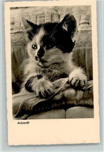 1955 Foto Garloff 3986 AK