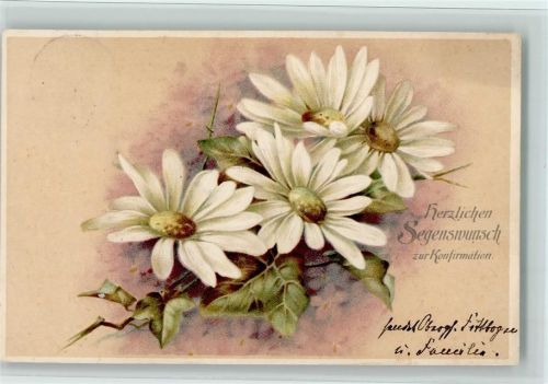 Segenswusnch, Margeriten Blumen AK