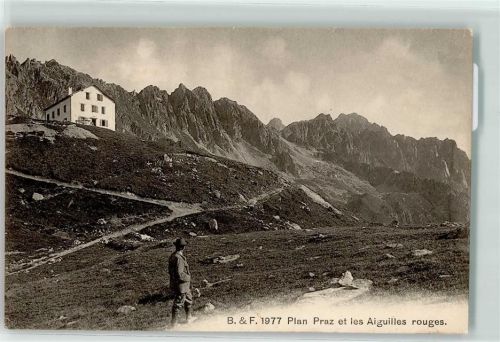 Chamonix-Mont-Blanc Planpraz et les Aiguilles rouges Wanderer