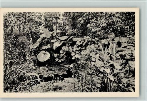 Nr. 28 Royal Botanic Gardens - Rock Pool, Himalayan House, gute Erhaltung