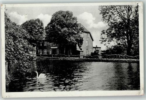 Timmendorf Gasthaus-Pension Mühlenpark Weiher Schwan
