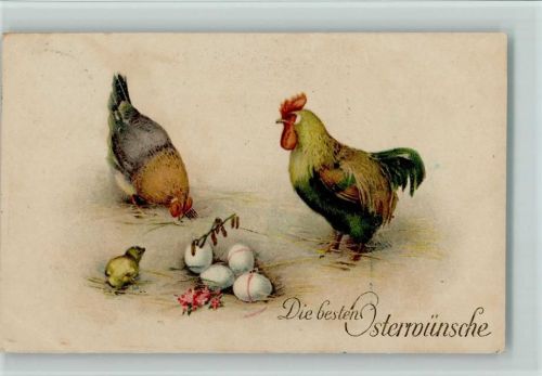 Ostern - Hühner und weiße Eier AK