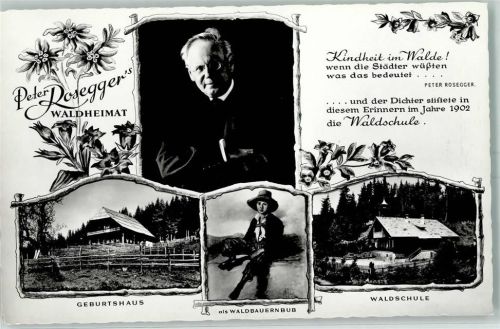 Alpl Petzer Rosegger Waldheimat AK