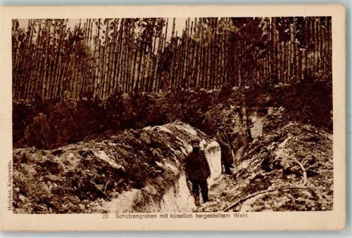 Nr. 22 mit künstlich hergestellten Wald AK