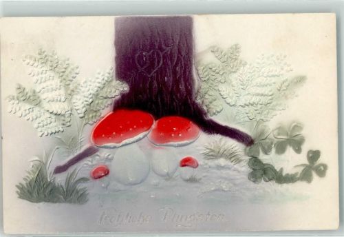 1912 Pfingsten Pilz Herz in der Baumrinde AK