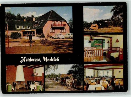 Undeloh Gasthaus Heiderose Gastraum Pferdekutschen