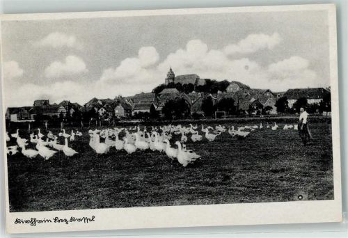Kirchhain Gänse