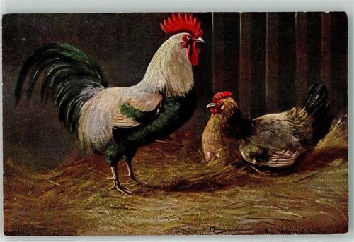 Hahn Huhn Serie 366