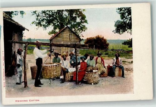 Weighing Cotton Baumwolle Nr 1172