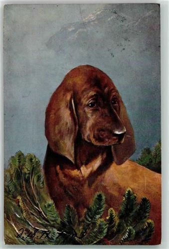 1903 Serie Rassehunde Verlag K. & B. D.