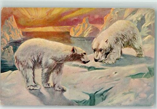 1910 2 Bären auf einer Eisscholle