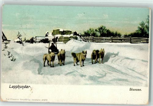 Lapphundar Skansen Verlag Eliassons Nr. 372 Volkstypen Hundeschlitten 1905