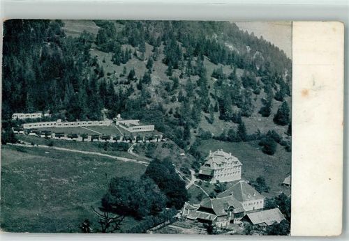 Hirt Der Jungborn Kuranstalt Erholungsheim Agathenhof Kärnten