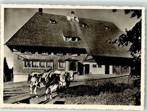 Furtwangen Gasthaus Pension Martinskapelle