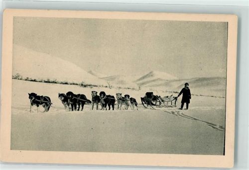 Alaska Hundeschlitten