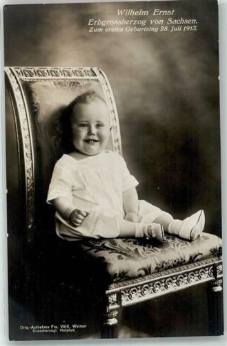 Wilhelm Ernst Erbgroßherzog zum ersten Geburtstag Original Aufnahme Frz. Vältl