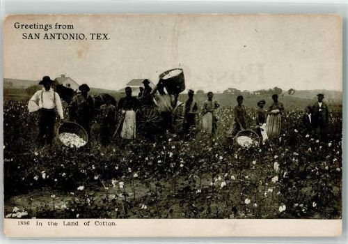 San Antonio Schwarzafrikaner Baumwollernte