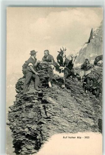 Ziege auf hoher Alp Verlag Bergeret Zürich Landwirtschaft