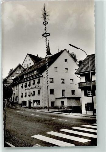 Neustadt Gasthaus zum Pfauen Foto AK