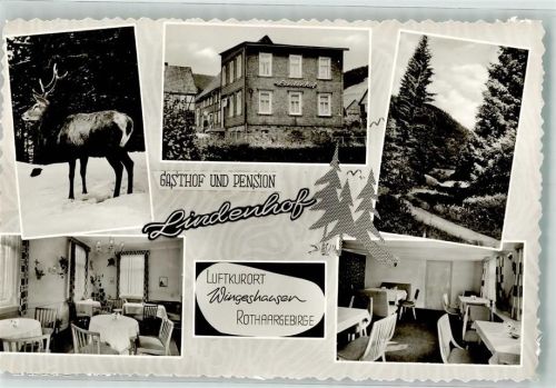 Wingeshausen Gasthaus Pension Lindenhof Winter