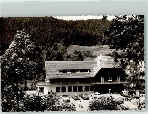 Alpirsbach Hotel Auto