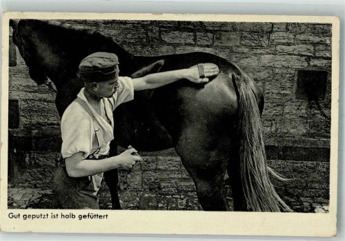 1939 Landser bei der Pferdepflege Fotograf Heinz Schröter