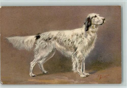 Cocker Spaniel Künstlerkarte ca 1915 AK