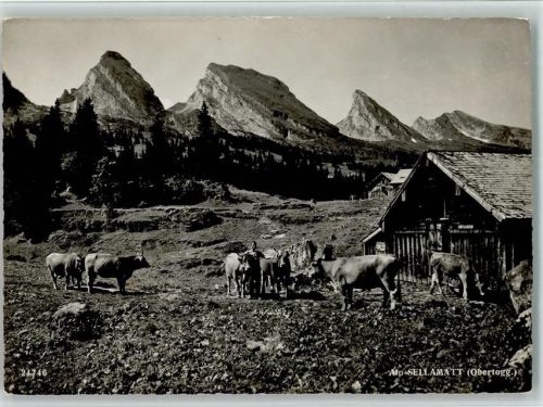 Alt St. Johann Alp Sellamatt