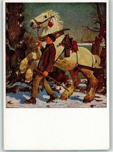 Nr. 169 - Der lustige Schimmel von Junghanns AK Gute Erhaltung