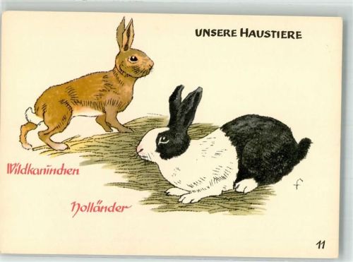 Herbergsgroschen Unsere Haustiere Nr. 11 Holländer Kninchen sign. Feuerstein