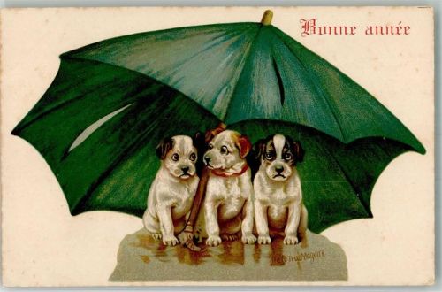 Serie 1072 sign. Maguire Hunde Welpen Regenschirm Bonne Annee