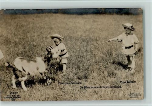 Die Söhne des Kronprinzen spielen mit Ziegen Foto AK Ziege