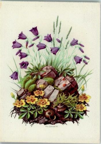 sign Gönner - Glockenblumen , Schnecken