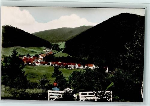 Lonau Blick auf Lonau