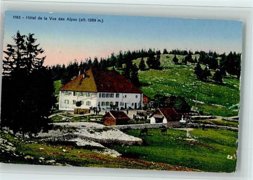 La Vue-des-Alpes Hôtel de la Vue des Alpes