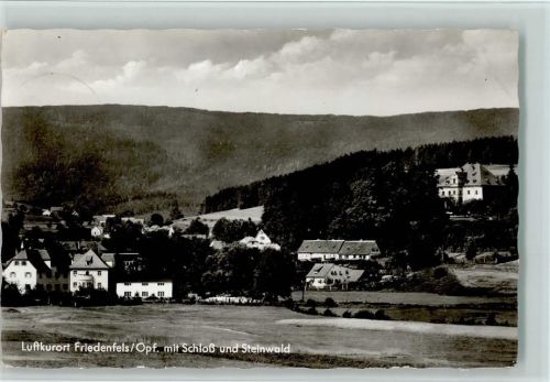 Friedenfels Ortsansicht mit Schloß und Steinwald