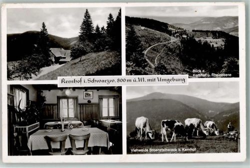 Seebach Gasthaus Pension Kernhof Innenaufnahme Gastraum Blick zum Kernhof und Rheinebene Viehweide Bosensteinereck Kühe 4-Bildaufnahme