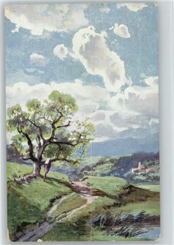 1919 AK Landschaft