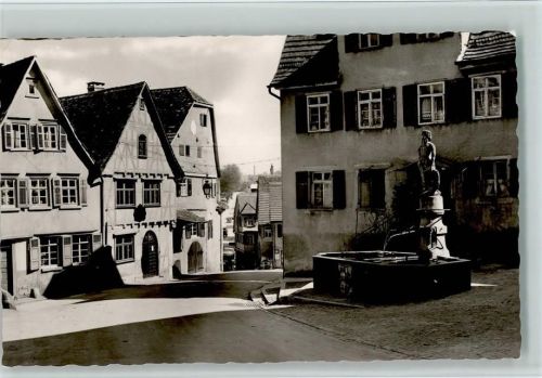Marbach Schiller Geburtshaus mit Wilder-Mann-Bruunen
