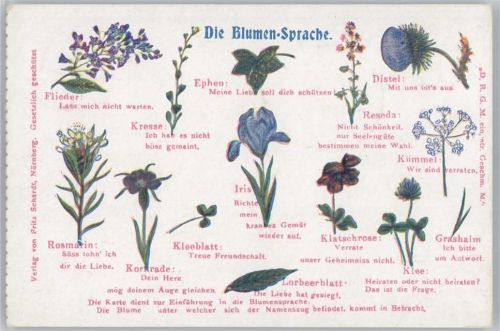 1900 Verlag Schardt
