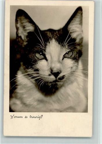 1940 Warum so traurig AK