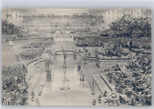 Exposition Universelle de Gand 1913 AK Seerosen Belgien
