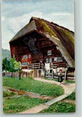Schwarzwaldhaus im Gutachtal