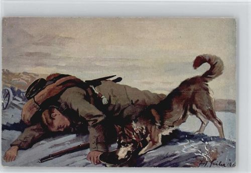 Wohlfahrtskarte - Sanitätshund im Feld Nr. 2 - Rotes Kreuz