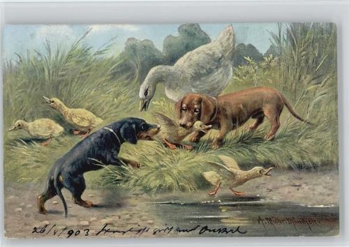 Verlag K.B.D. Serie 1171 Dackelstreiche - 1902 AK Künstler Müller - Jagd