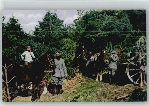 WK I - Soldaten mit ihren Pferden - Rast - Kanone mit Tannenzeigen getarnt -