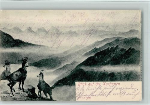 Churfirsten Blick auf Kurfirsten Gemsen