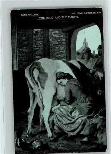 Frau beim Kühe melken - Melkerin
