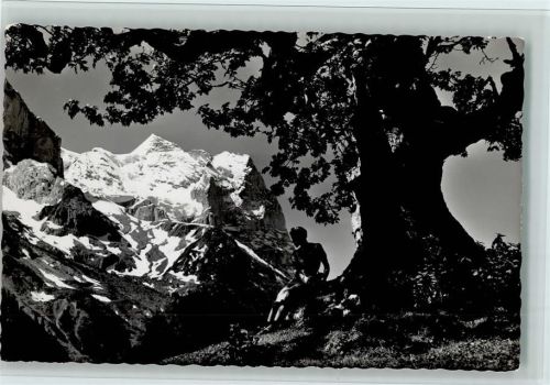 Rosenlaui Kurhaus Rosenlaui und Gletscherschlucht Baum