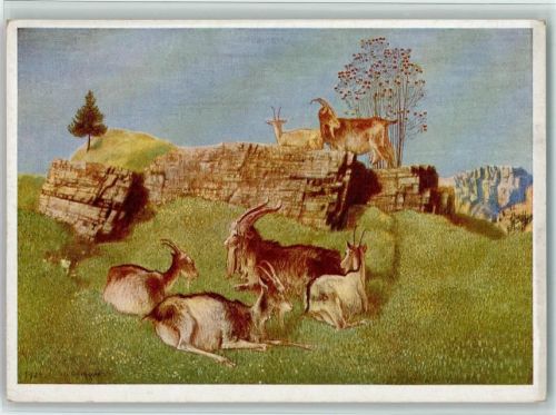 Bild 35 /VI - sign Steppes - Juralandschaft